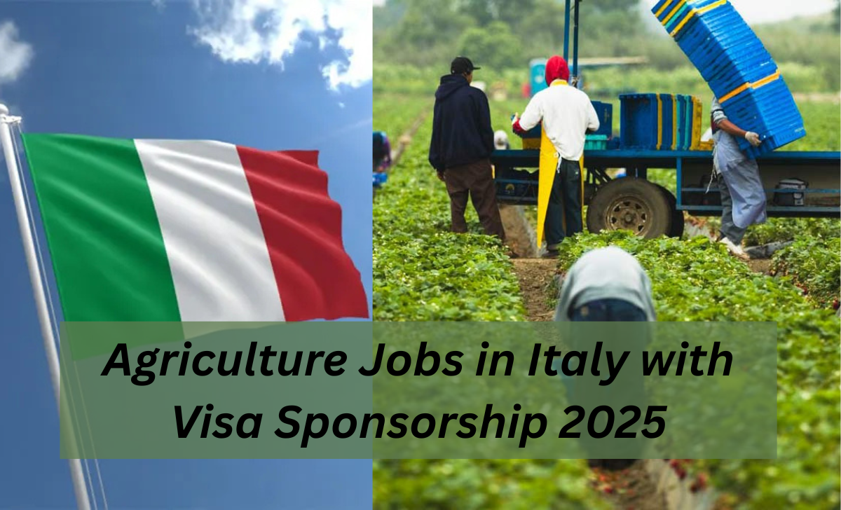Agriculture Jobs in Italy with Visa Sponsorship 2025