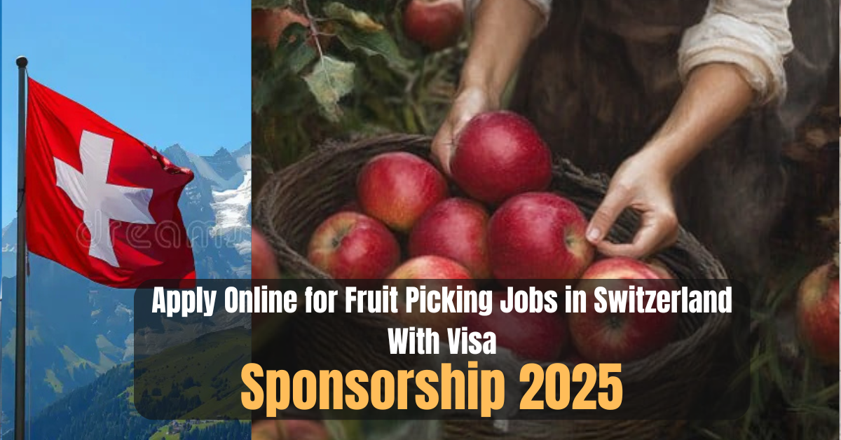 Apply Online for Fruit Picking Jobs in Switzerland With Visa Sponsorship 2025