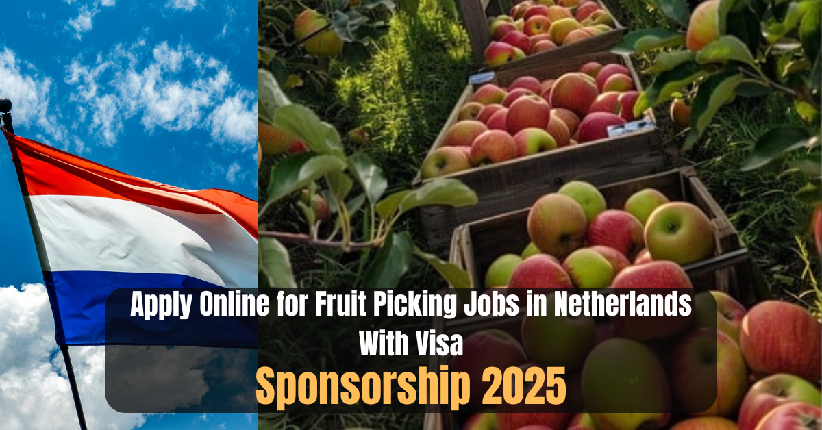 Apply Online for Fruit Picking Jobs in Netherlands With Visa Sponsorship 2025
