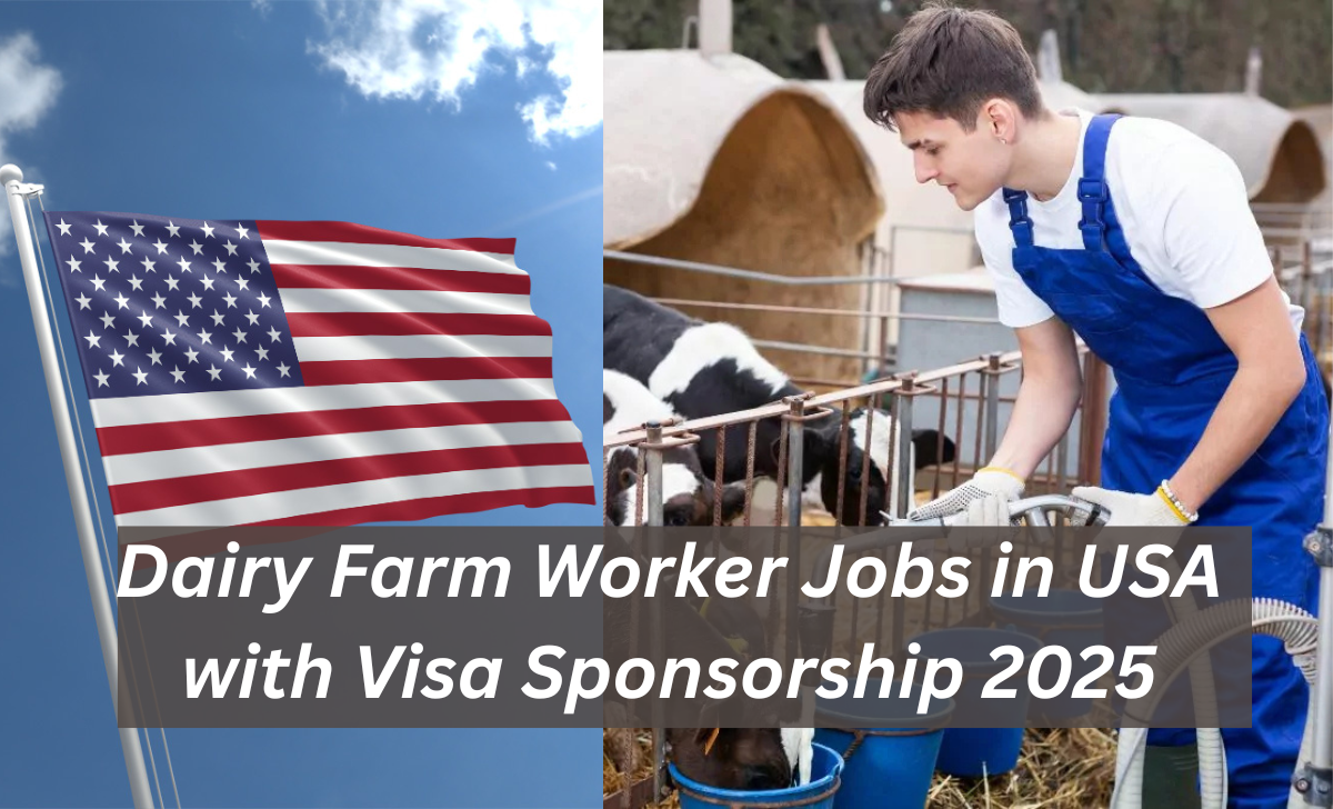 Dairy Farm Worker Jobs in USA with Visa Sponsorship 2025