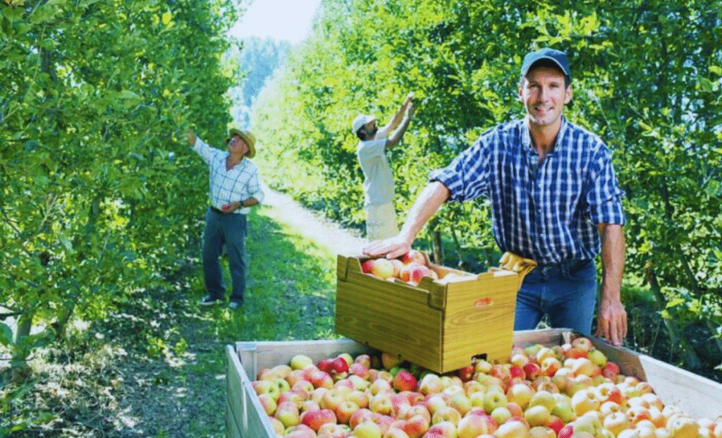 Orchard Jobs in Australia with Visa Sponsorship 2025