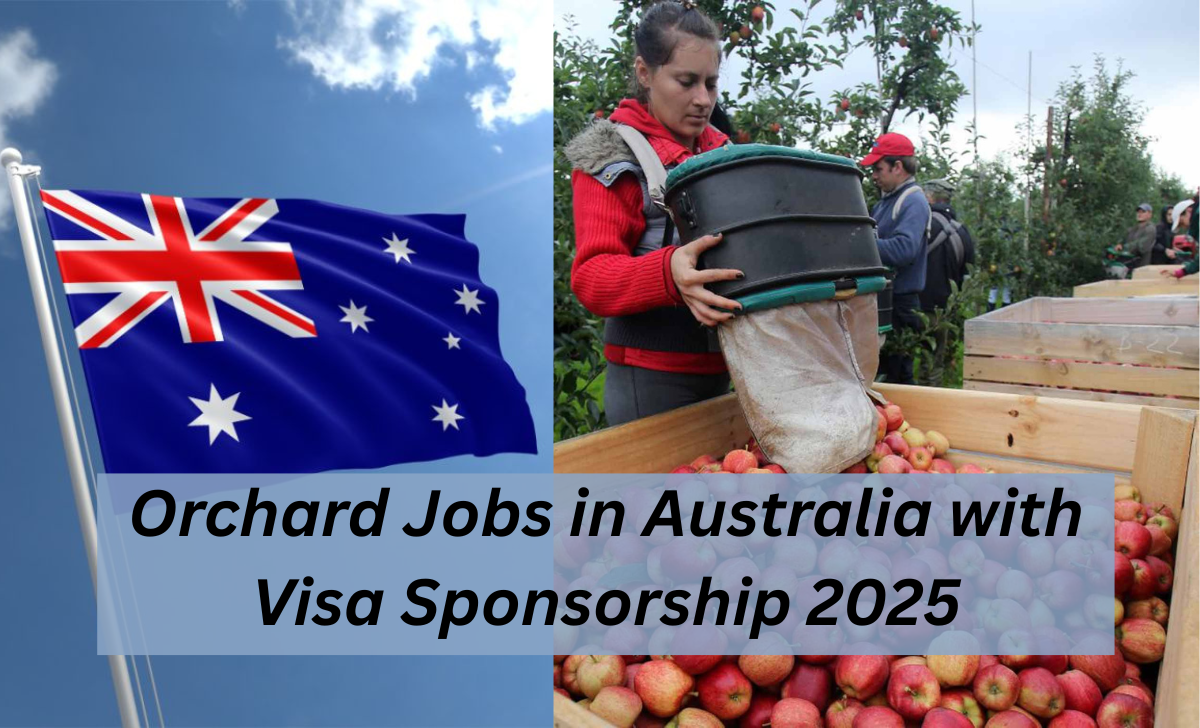 Orchard Jobs in Australia with Visa Sponsorship 2025